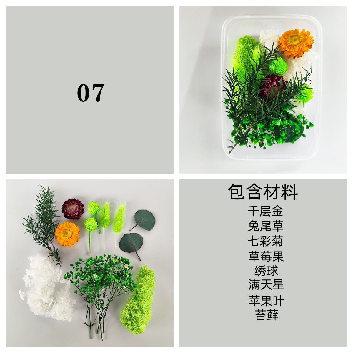 Dried/ Preserved Flowers