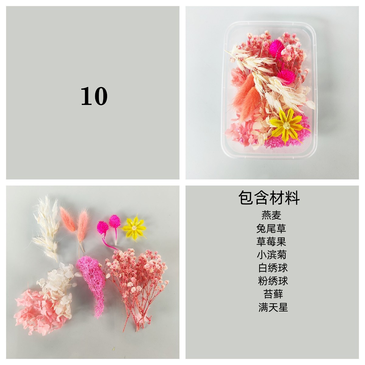 Dried/ Preserved Flowers