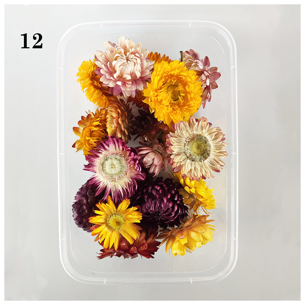 Dried/ Preserved Flowers