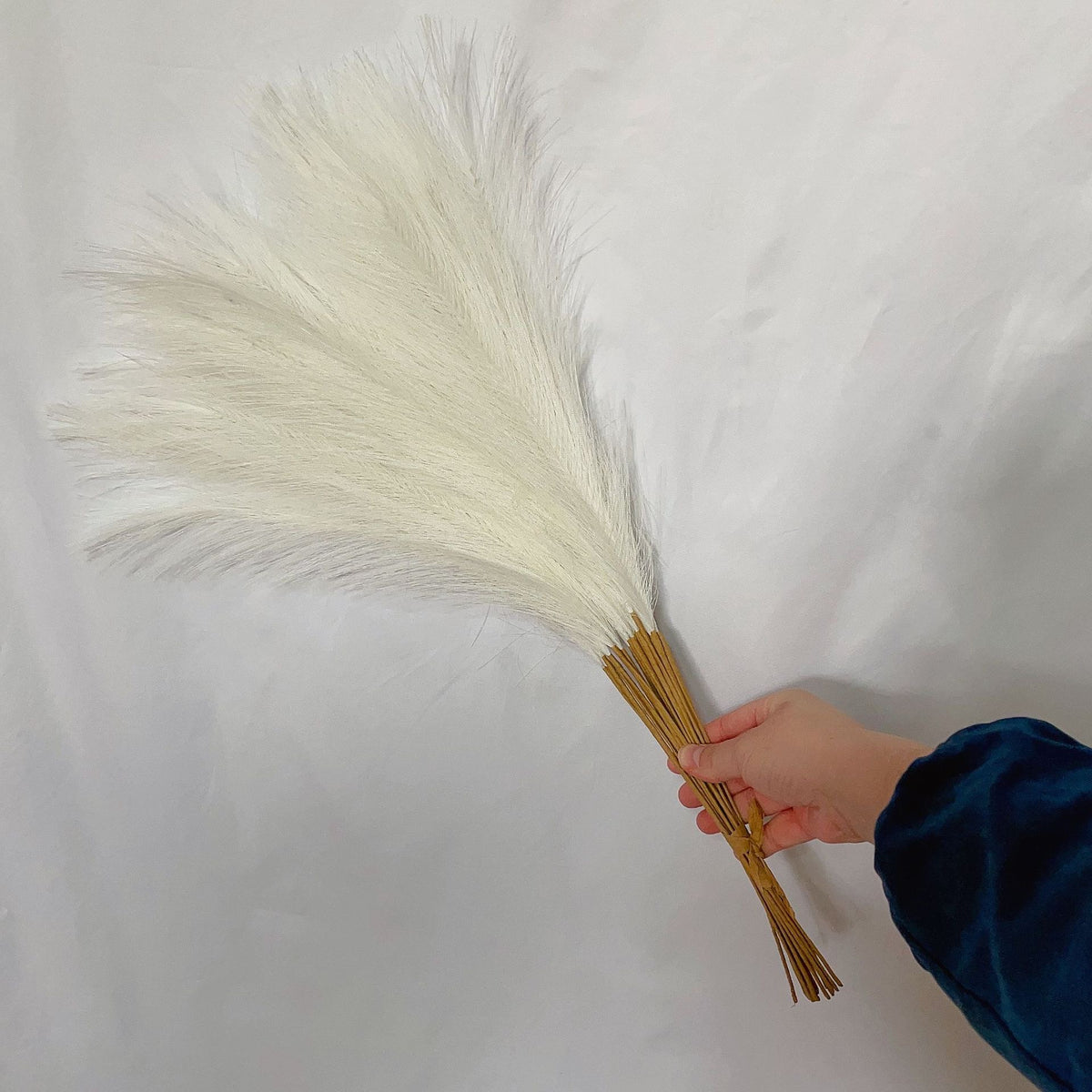 55cm Faux Pampas Grass