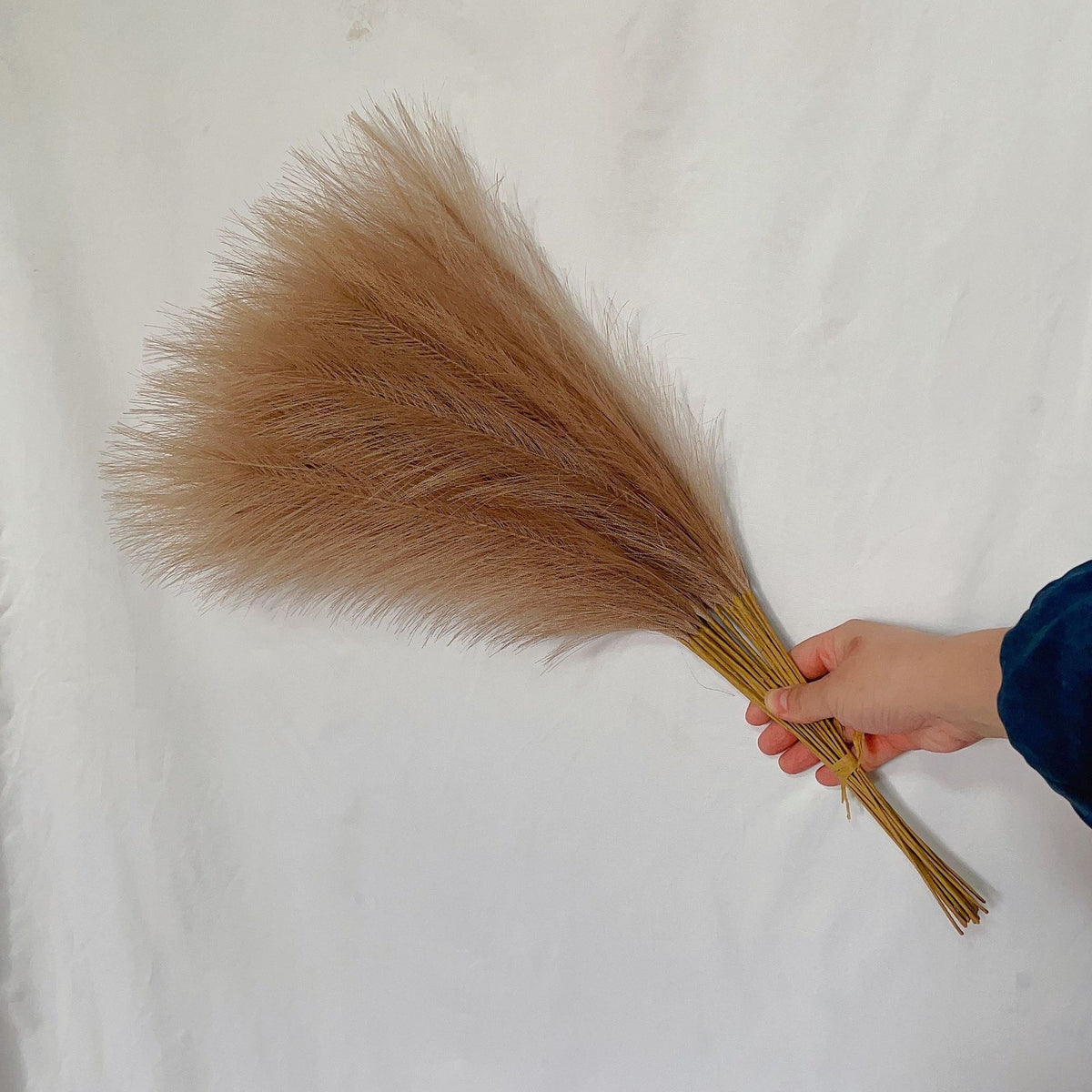 55cm Faux Pampas Grass