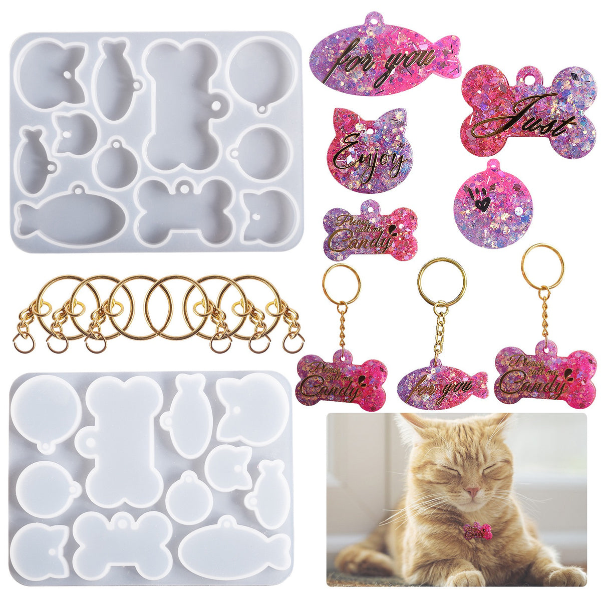 Pet Tag Silicone Mold 2e