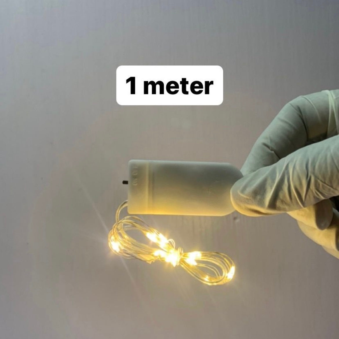 Fairy Light r011