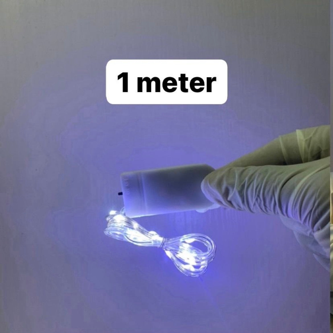 Fairy Light r011