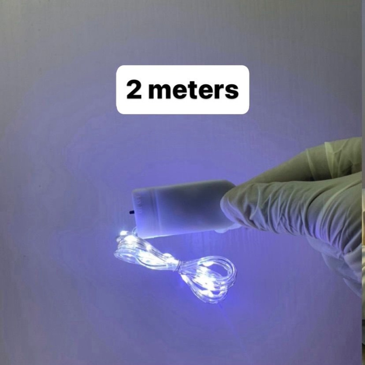 Fairy Light r011