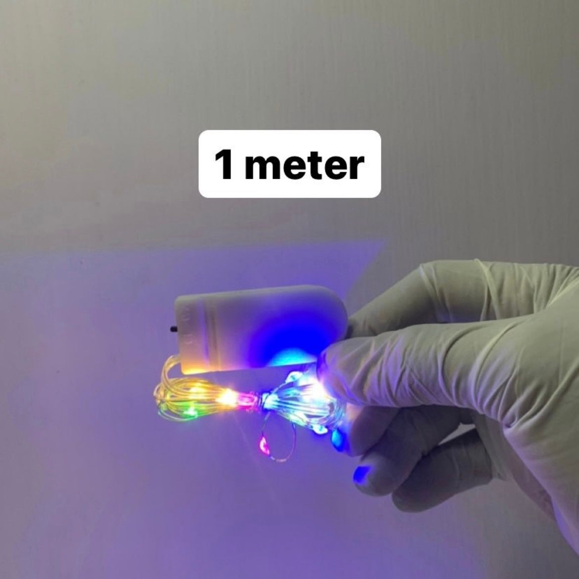 Fairy Light r011