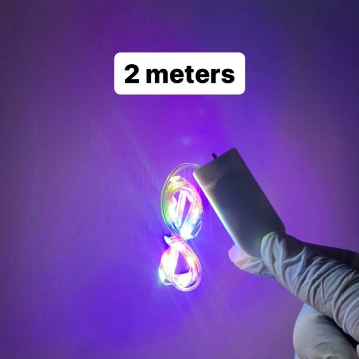 Fairy Light r011
