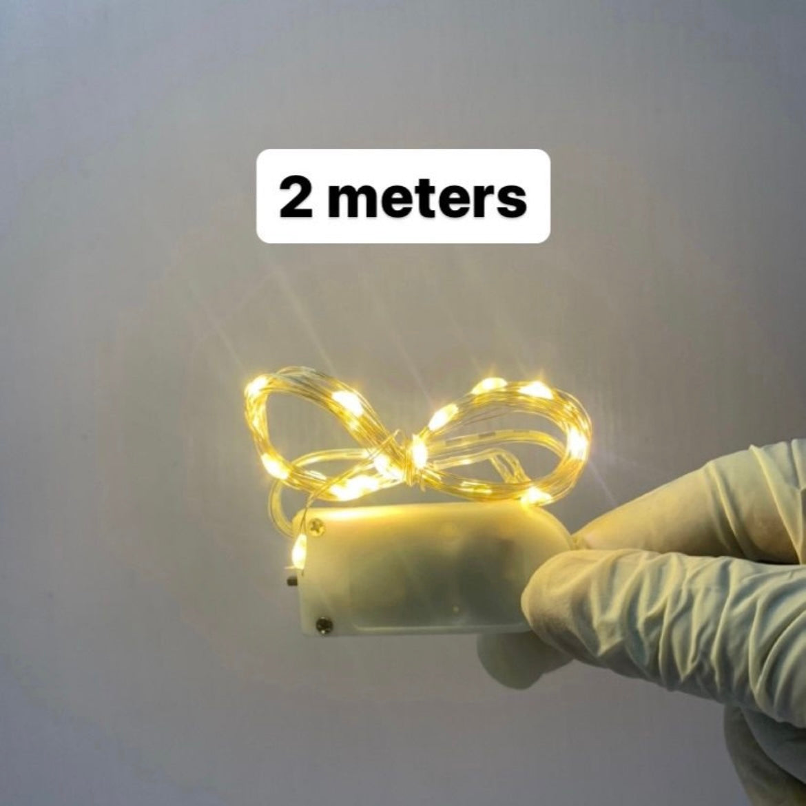 Fairy Light r011