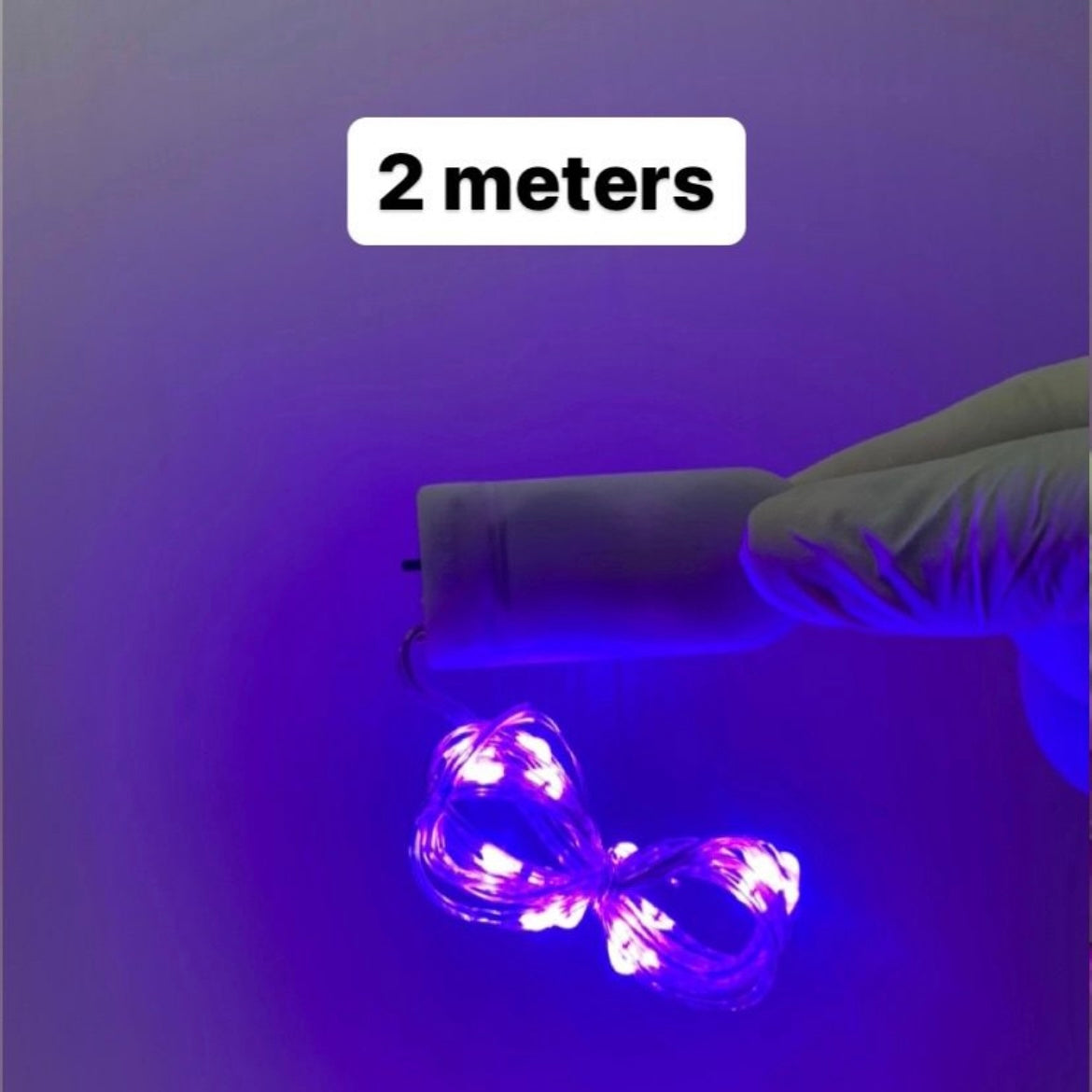 Fairy Light r011
