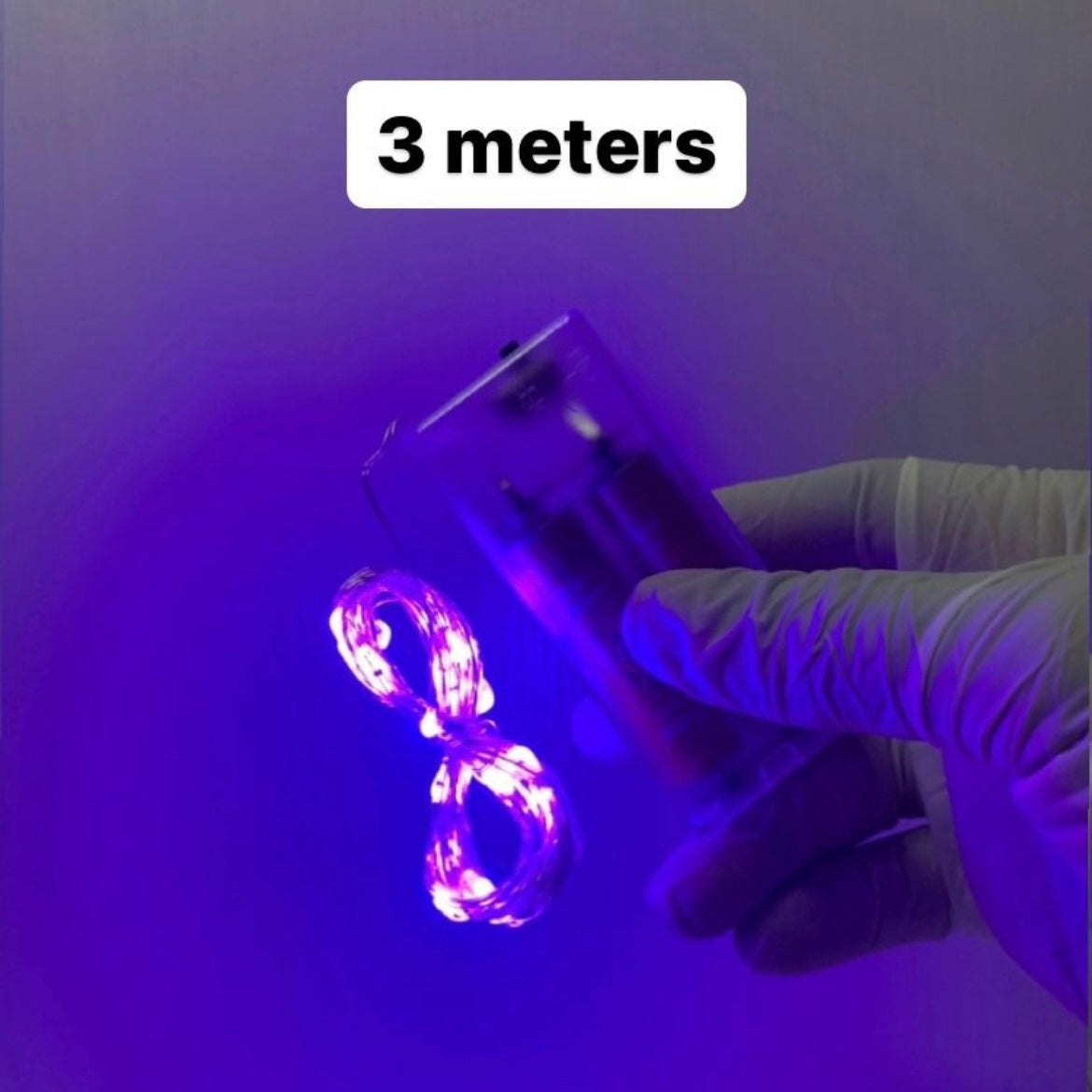 Fairy Light r011