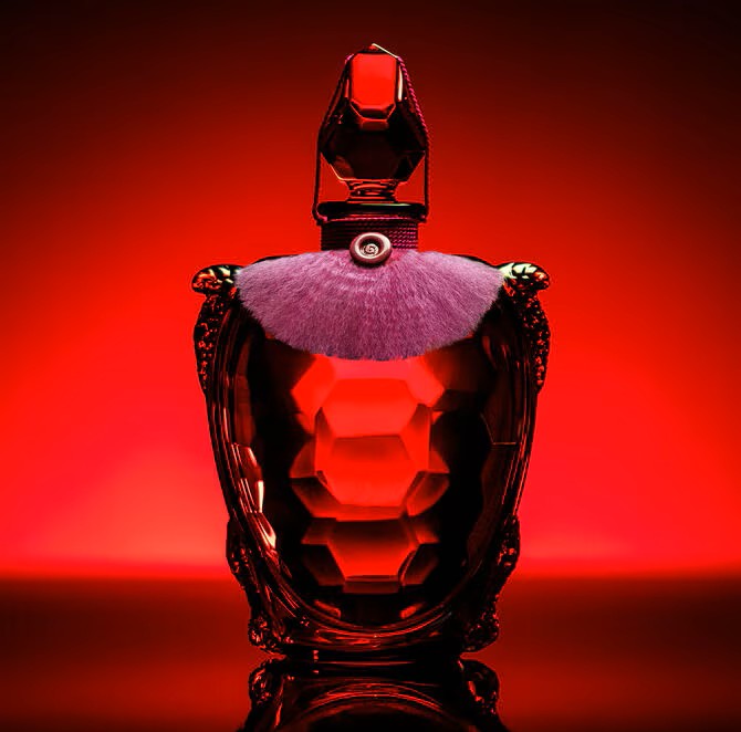 🍷 Red Baccarat Fragrance Oil